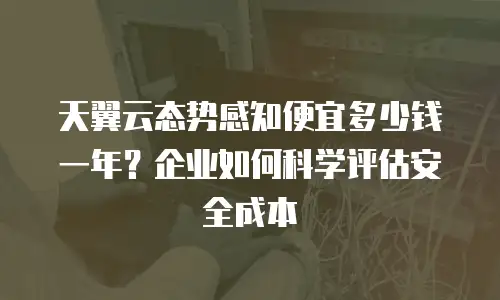 天翼云态势感知便宜多少钱一年？企业如何科学评估安全成本