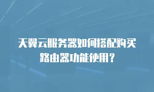 天翼云服务器如何搭配购买路由器功能使用？