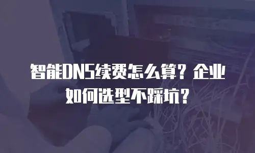 智能DNS续费怎么算？企业如何选型不踩坑？