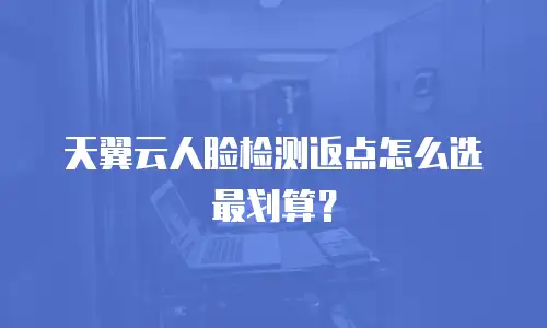 天翼云人脸检测返点怎么选最划算？