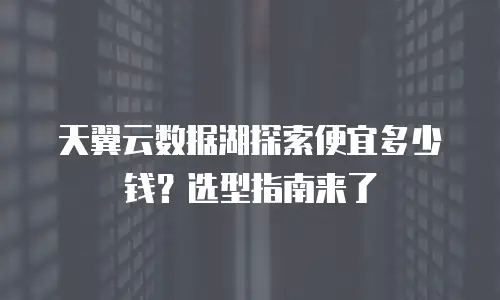天翼云数据湖探索便宜多少钱？选型指南来了