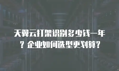 天翼云打架识别多少钱一年？企业如何选型更划算？