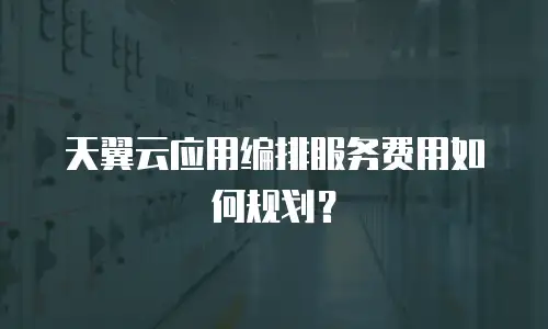 天翼云应用编排服务费用如何规划？