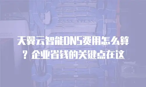 天翼云智能DNS费用怎么算？企业省钱的关键点在这