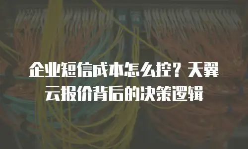 企业短信成本怎么控？天翼云报价背后的决策逻辑