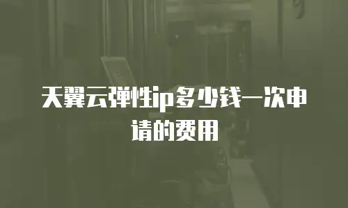 天翼云弹性ip多少钱一次申请的费用