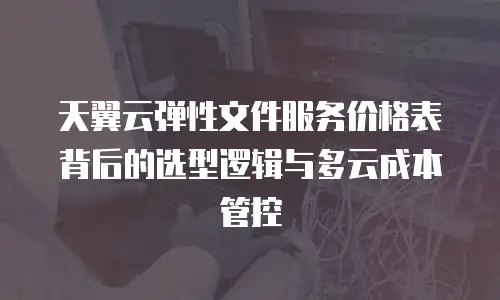 天翼云弹性文件服务价格表背后的选型逻辑与多云成本管控