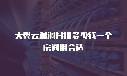天翼云漏洞扫描多少钱一个房间用合适