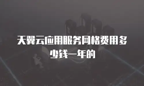天翼云应用服务网格费用多少钱一年的