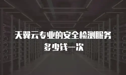 天翼云专业的安全检测服务多少钱一次