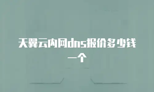 天翼云内网dns报价多少钱一个