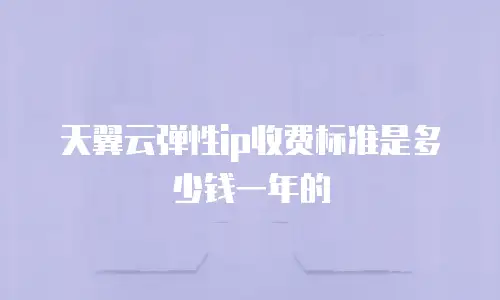 天翼云弹性ip收费标准是多少钱一年的