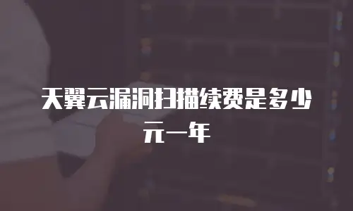 天翼云漏洞扫描续费是多少元一年