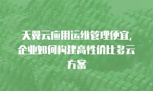 天翼云应用运维管理便宜，企业如何构建高性价比多云方案