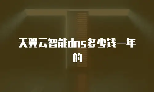 天翼云智能dns多少钱一年的