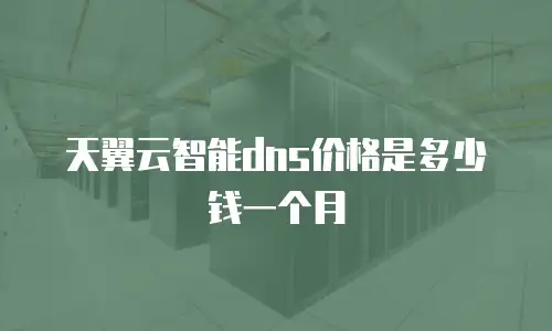 天翼云智能dns价格是多少钱一个月