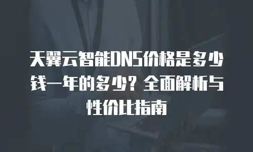 天翼云智能DNS价格是多少钱一年的多少？全面解析与性价比指南