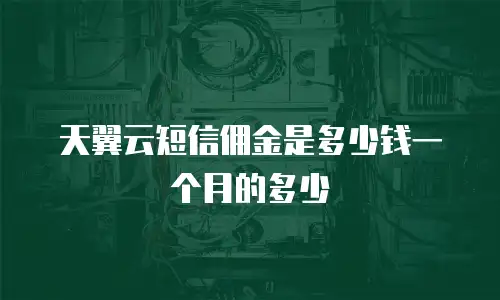 天翼云短信佣金是多少钱一个月的多少