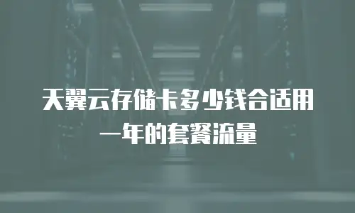 天翼云存储卡多少钱合适用一年的套餐流量