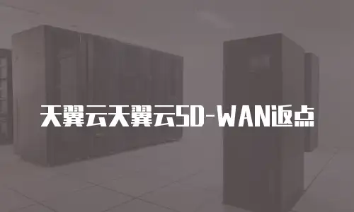 天翼云天翼云SD-WAN返点