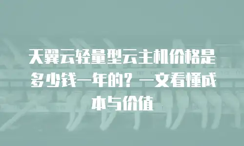 天翼云轻量型云主机价格是多少钱一年的？一文看懂成本与价值