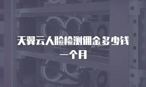 天翼云人脸检测佣金多少钱一个月