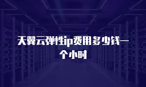 天翼云弹性ip费用多少钱一个小时