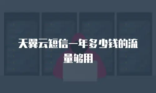 天翼云短信一年多少钱的流量够用