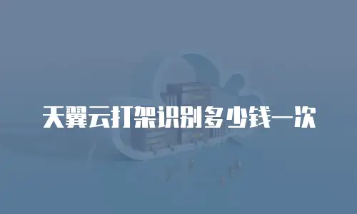 天翼云打架识别多少钱一次
