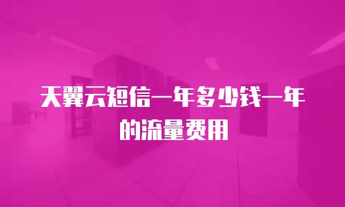 天翼云短信一年多少钱一年的流量费用