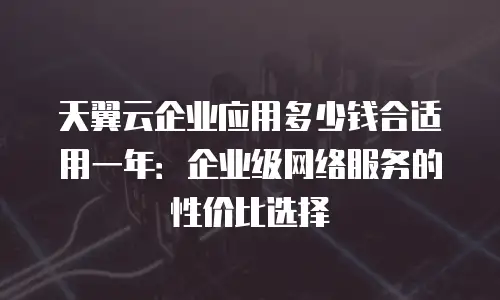 天翼云企业应用多少钱合适用一年：企业级网络服务的性价比选择