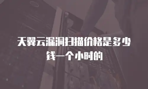 天翼云漏洞扫描价格是多少钱一个小时的