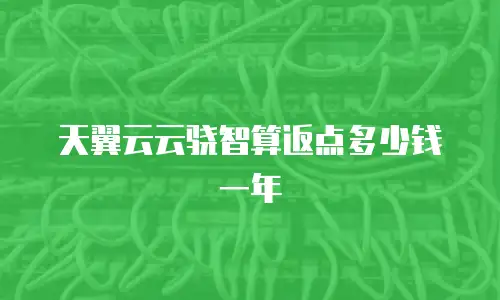 天翼云云骁智算返点多少钱一年