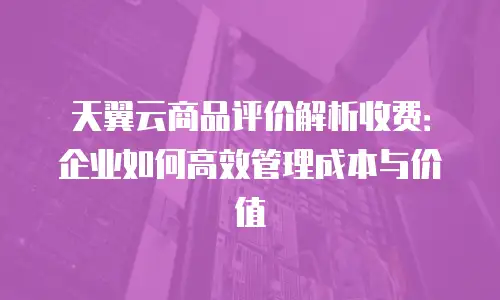 天翼云商品评价解析收费：企业如何高效管理成本与价值