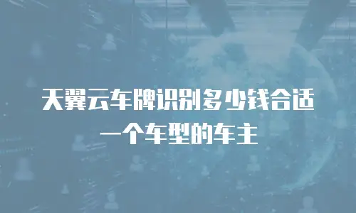天翼云车牌识别多少钱合适一个车型的车主