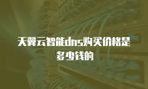 天翼云智能dns购买价格是多少钱的