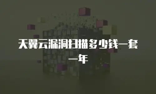 天翼云漏洞扫描多少钱一套一年