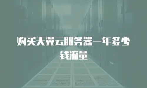 购买天翼云服务器一年多少钱流量