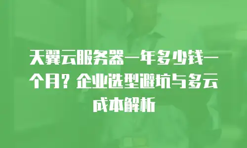 天翼云服务器一年多少钱一个月？企业选型避坑与多云成本解析