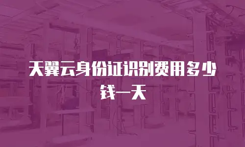 天翼云身份证识别费用多少钱一天