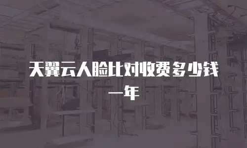 天翼云人脸比对收费多少钱一年