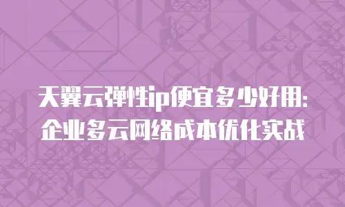 天翼云弹性ip便宜多少好用：企业多云网络成本优化实战