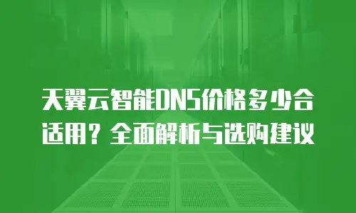 天翼云智能DNS价格多少合适用？全面解析与选购建议