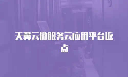 天翼云微服务云应用平台返点