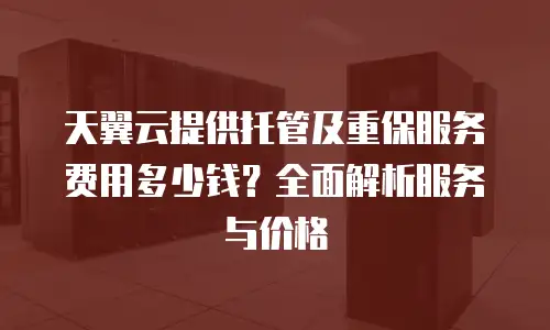 天翼云提供托管及重保服务费用多少钱？全面解析服务与价格