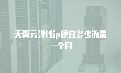 天翼云弹性ip便宜多少流量一个月