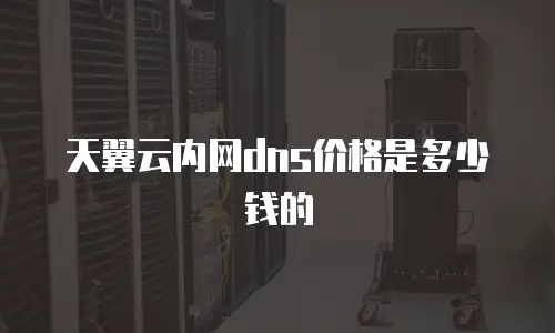 天翼云内网dns价格是多少钱的
