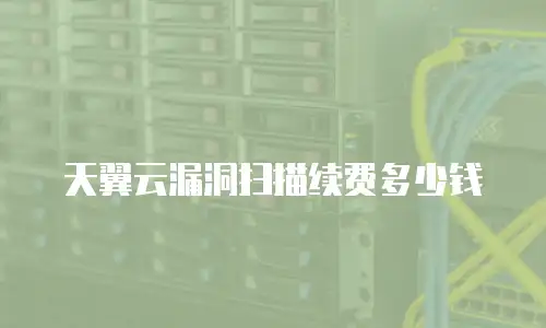 天翼云漏洞扫描续费多少钱