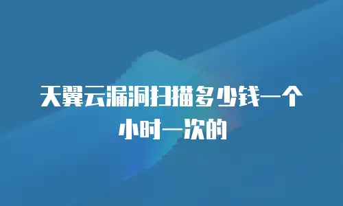 天翼云漏洞扫描多少钱一个小时一次的