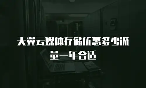 天翼云媒体存储优惠多少流量一年合适